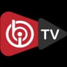 IBO Pro Player Logo